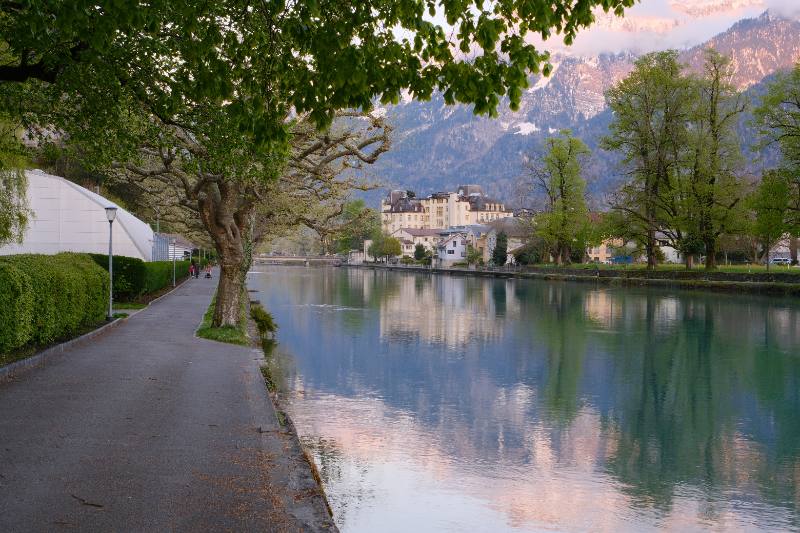 Mountain lake and town seen along a tree-lined path