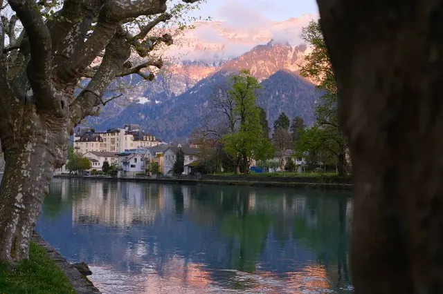 Mountain lake and town framed between trees at sunset, burst hero